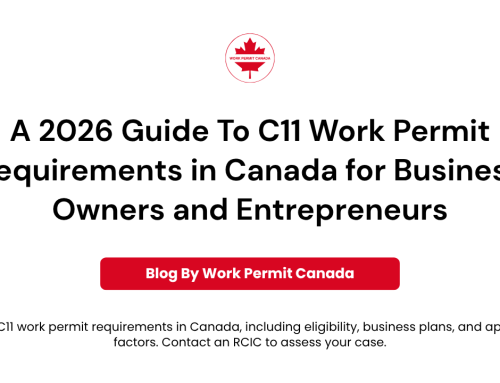 C11 work permit requirements